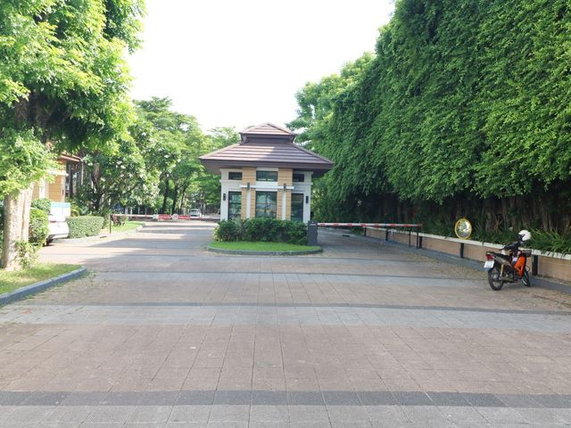 place photo 59