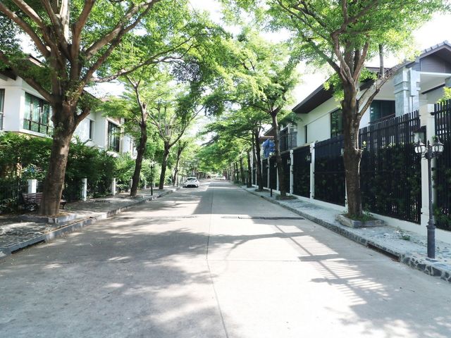 place photo 47