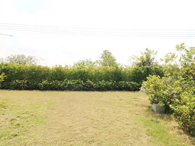 place photo 46
