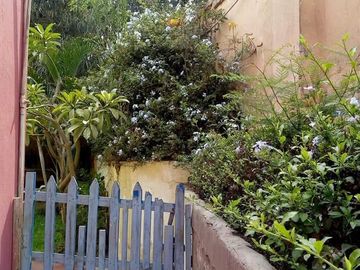 place photo 20