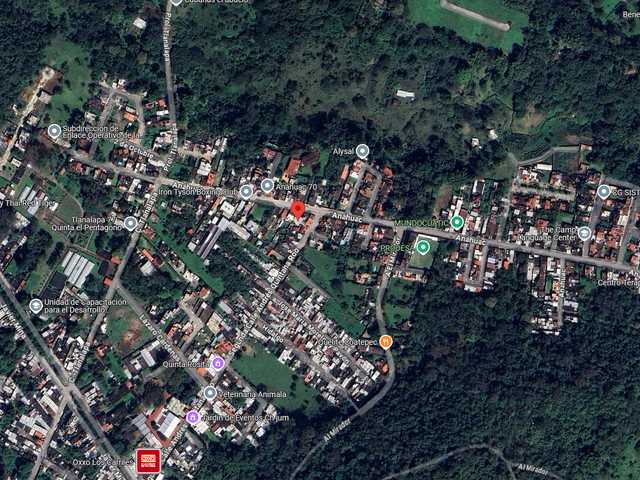 place photo 7