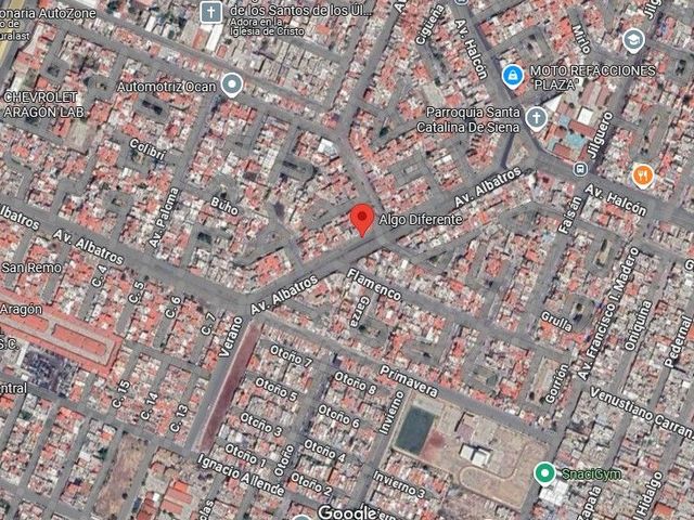 place photo 13