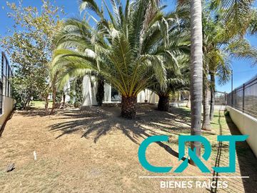 place photo 46