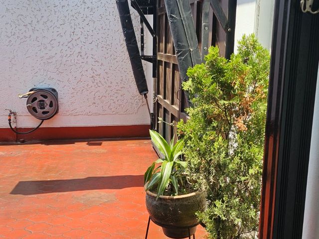 place photo 59