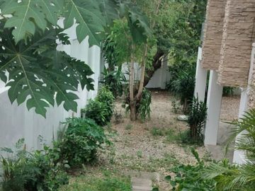 place photo 33