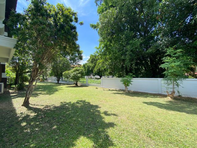 place photo 26