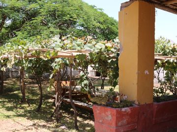 place photo 21