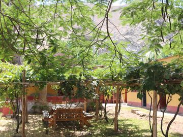 place photo 25