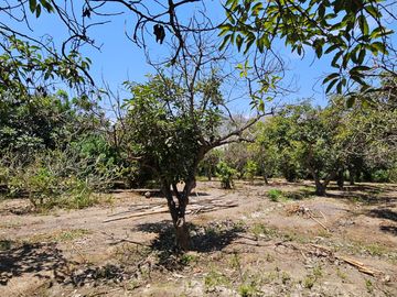 place photo 29