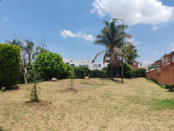 place photo 23