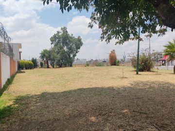 place photo 24