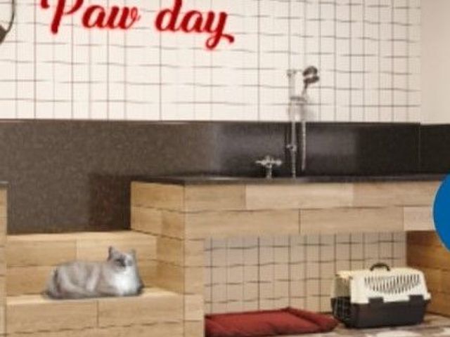 place photo 45