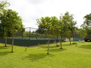 place photo 15