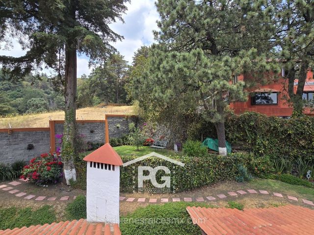place photo 43