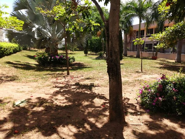 place photo 82