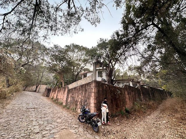 place photo 44