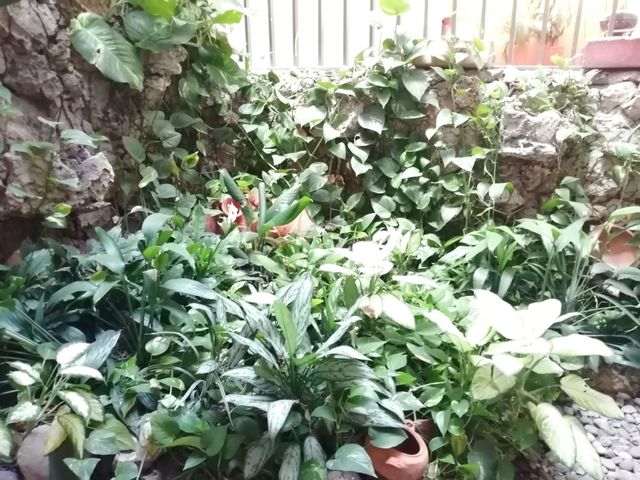 place photo 72
