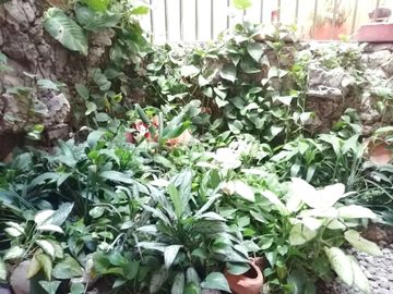 place photo 72
