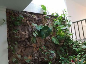 place photo 73