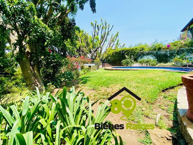 place photo 40