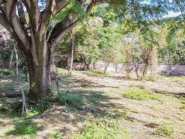 place photo 67