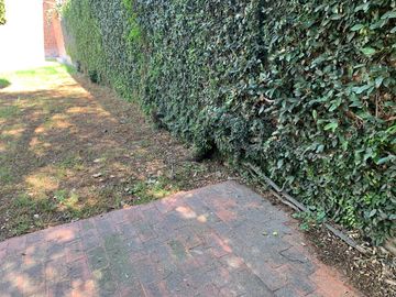 place photo 27