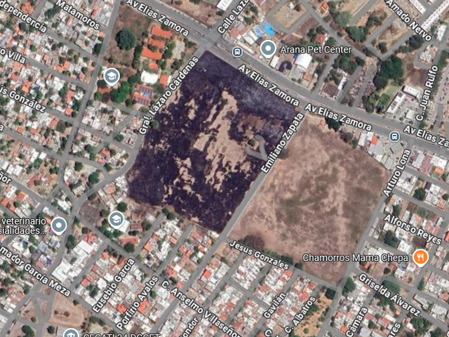 place photo 11