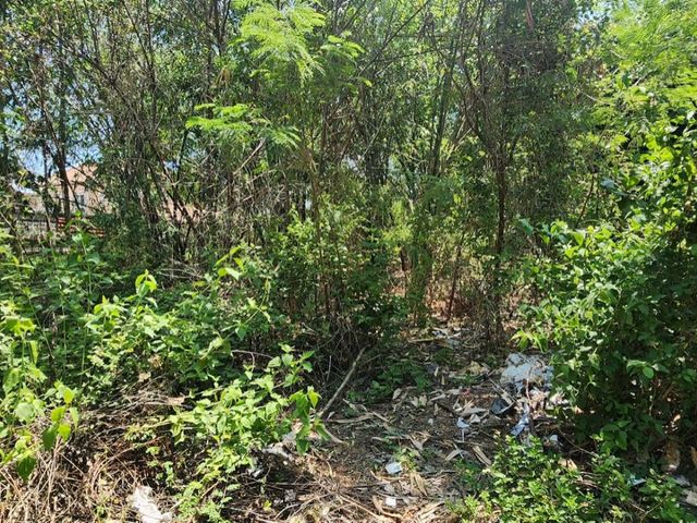 place photo 22