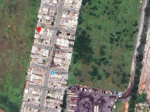place photo 6