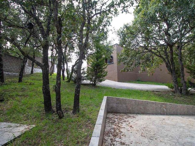 place photo 49