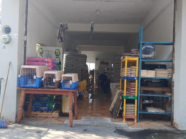 place photo 5
