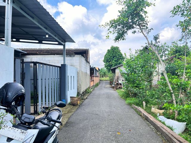 place photo 4