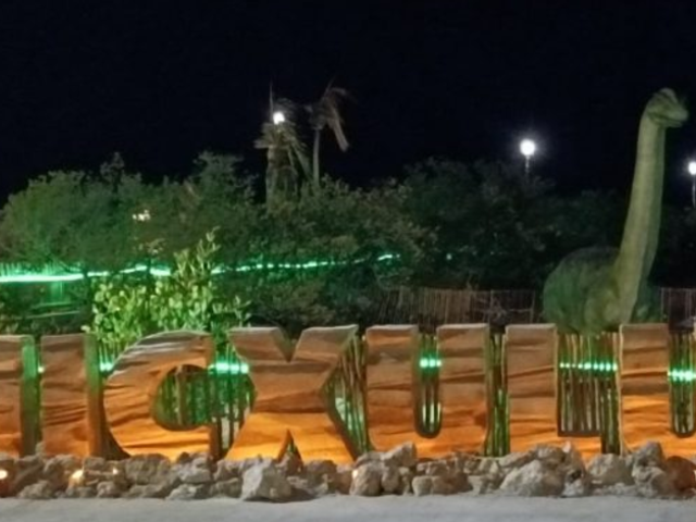 place photo 11