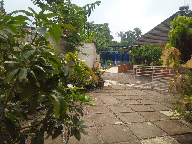 place photo 8
