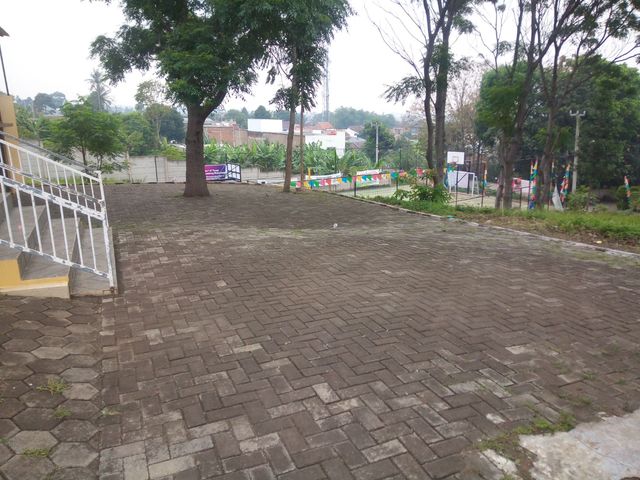 place photo 10
