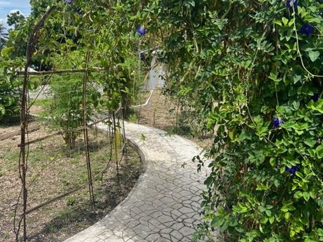 place photo 24