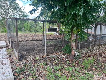 place photo 32