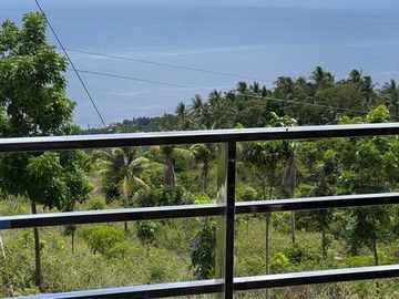 place photo 49