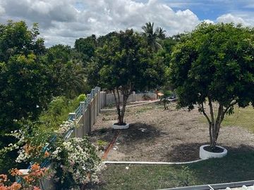 place photo 52