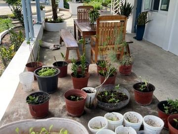 place photo 80
