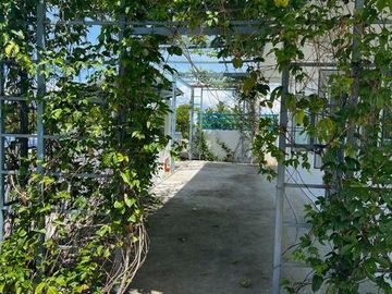 place photo 88