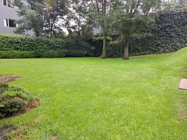 place photo 66