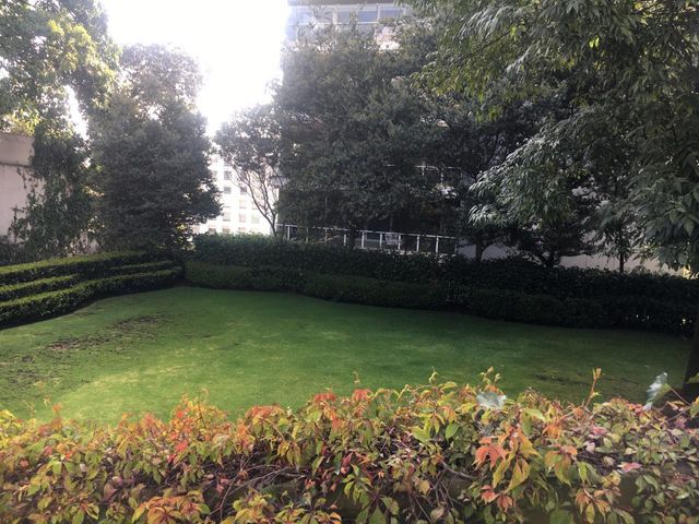 place photo 70