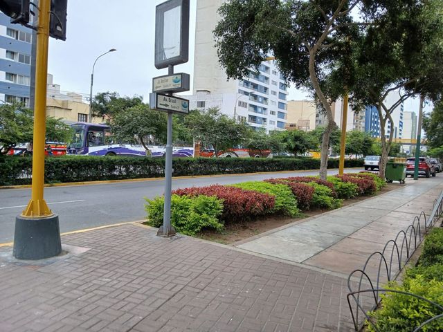place photo 18
