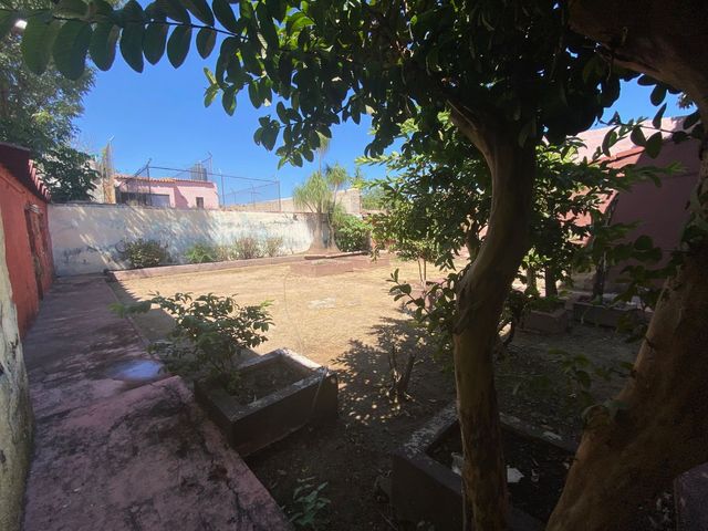 place photo 34
