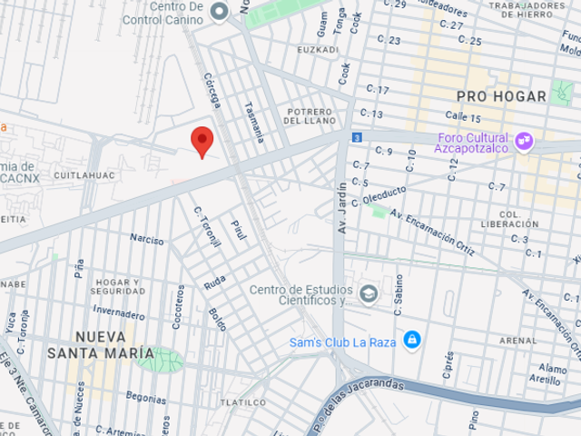 place photo 11