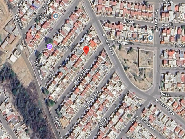 place photo 11