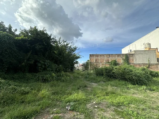 place photo 14
