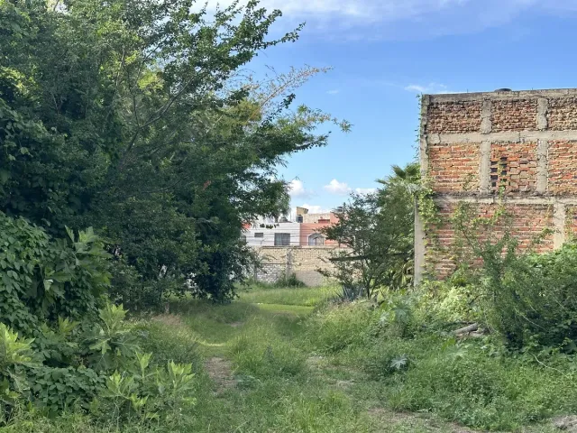 place photo 16
