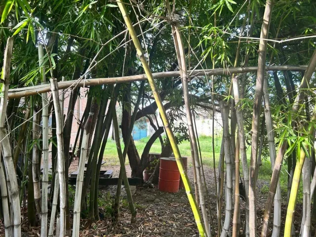 place photo 20